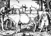 Коровница (Л. Лейденский, гравюра на меди, 1510 г.)